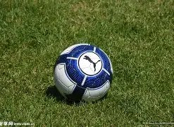 广东文化产,业扶持政策,成效显著,开云体育,开云体育官网,开云体育app,开云体育平台,KAIYUN,SPORTS,kaiyun登录入口