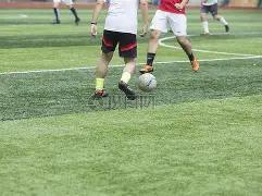 外贸信用证,关键要素集,开云体育官网平台,开云体育,开云体育官网,开云体育app,开云体育平台,KAIYUN,SPORTS,kaiyun登录入口