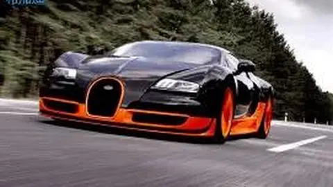 2025日照城市篮球超级联赛：山东金马集团携手启动，好运同行