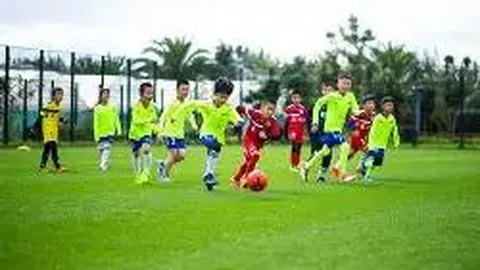 开云体育官网平台 资讯 110704 ezd