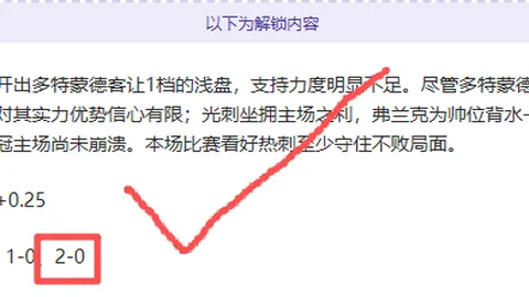 2025年第二届全国竞走赛事在合肥田径盛宴举行